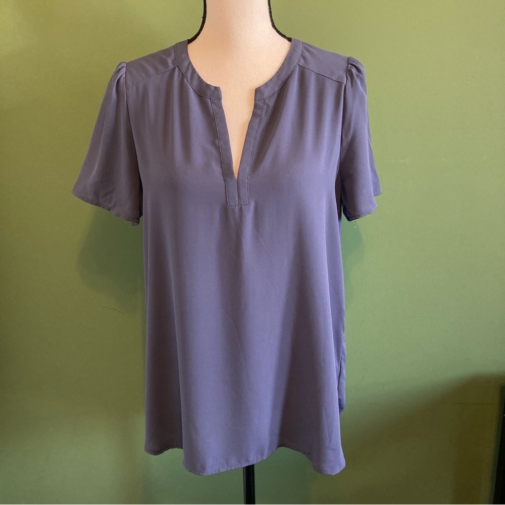 Pleione Blue shirt sleeve Blouse